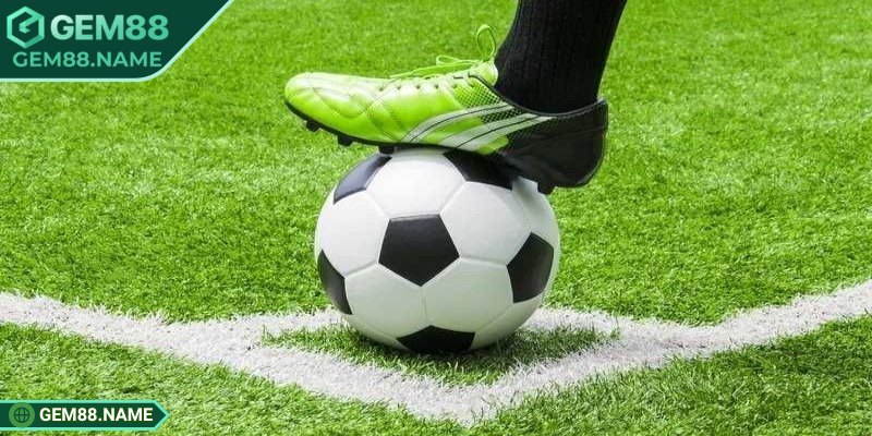 Kèo 1/2 Gem88 - Cơ Hội Thắng Cao Cho Người Biết Phân Tích 2 Các loại kèo 1/2 Gem88 hot hiện nay